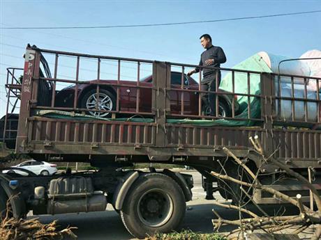 洛陽轎車托運公司